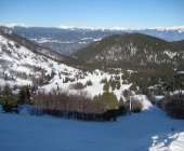 Soriška planina