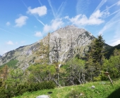 storzic-anica-križaj