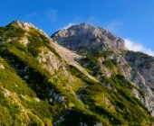 storzic-maja-sirše