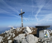 storzic-manuela-hribernik-1