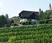 Trška gora