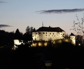 Velenjski grad