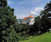 Velenjski grad