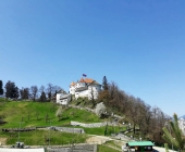 Velenjski grad