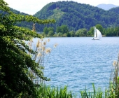 Velenjsko jezero