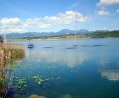 Velenjsko jezero