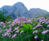 Velika Baba