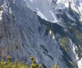 Velika Baba