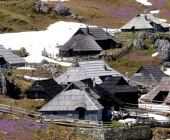 Velika planina