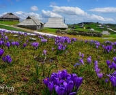 Velika planina