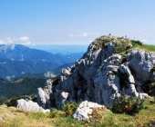 Velika Raduha