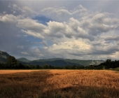 Vipavska dolina
