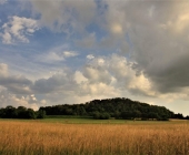 Vipavska dolina