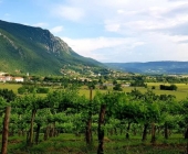 Vipavska dolina