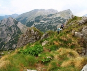 Viševnik