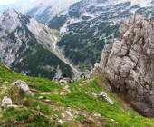 Viševnik