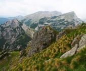 Viševnik