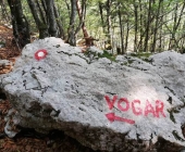 Vogar