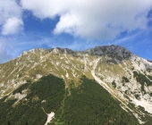 Vrtača