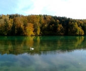 Zbiljsko jezero