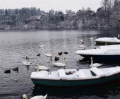 Zbiljsko jezero pozimi