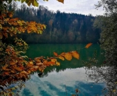Zbiljsko jezero jeseni